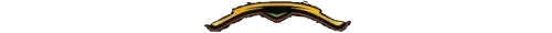 big-lion-logo-bottom