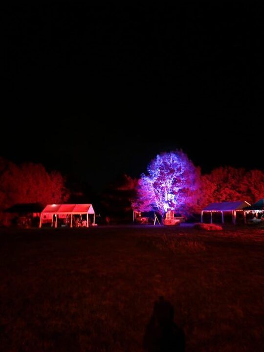 Gallerie 2023 - gallery2023_tree.jpg - 5/6